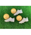 BALÓN DE ORO Y BOTA DE PLATA