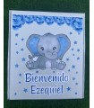 CAJA DE BIENVENIDA PARA  BEBÉS