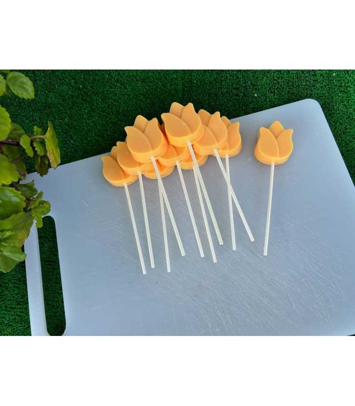 BROCHETAS DE TULIPÁN