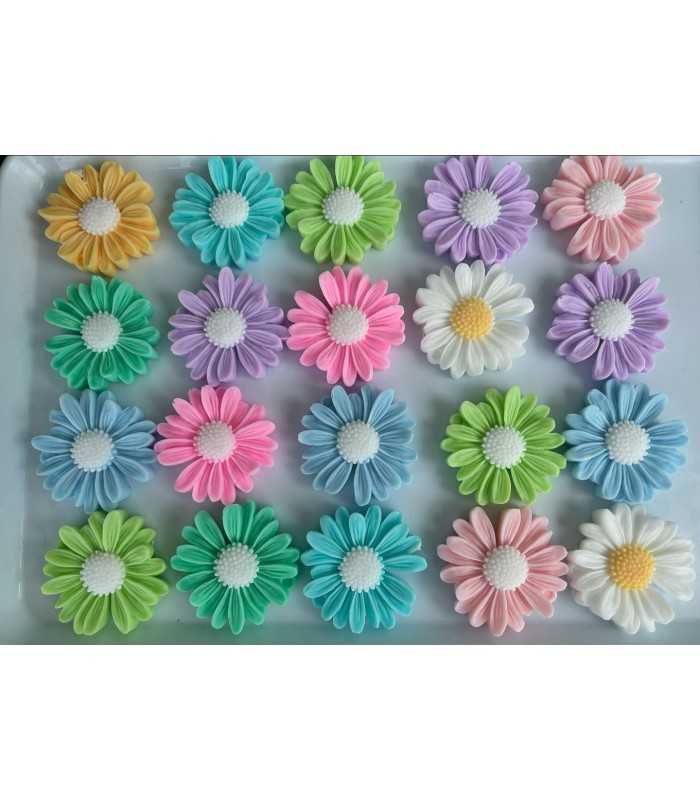 MARGARITAS DE COLORES