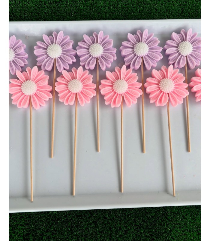 MARGARITAS DE COLORES