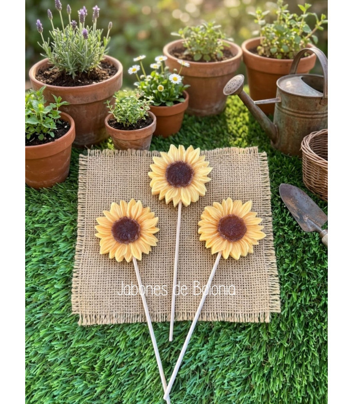 Girasoles de Jabón