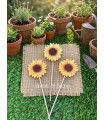 Girasoles de Jabón