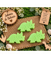 Dinosaurio de jabón personalizado para eventos