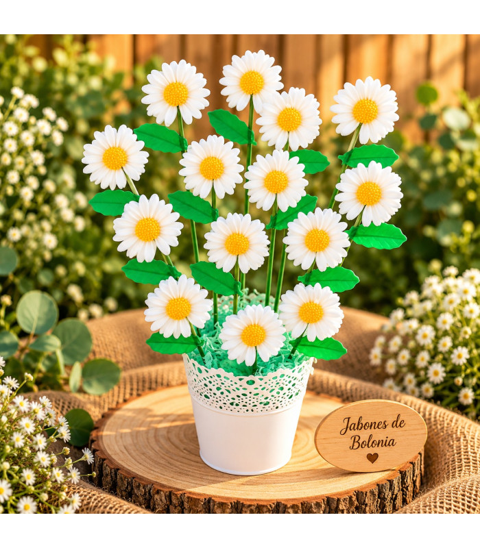Ramo De Flores De Jabón En Maceta – Amapolas O Margaritas