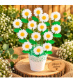 Ramo De Flores De Jabón En Maceta – Amapolas O Margaritas