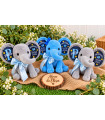 Elefante De Peluche Personalizado Con Datos De Nacimiento