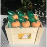 CAJA DE 6 MANDARINAS DE JABÓN
